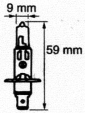 Halogenlampe 12V/55W-H1 - 408181.001 - Leuchtmittel
