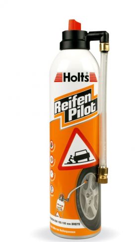 Reifen Pilot